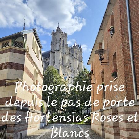Les Hortensias Blancs Studio อาเมียงส์ ภายนอก รูปภาพ