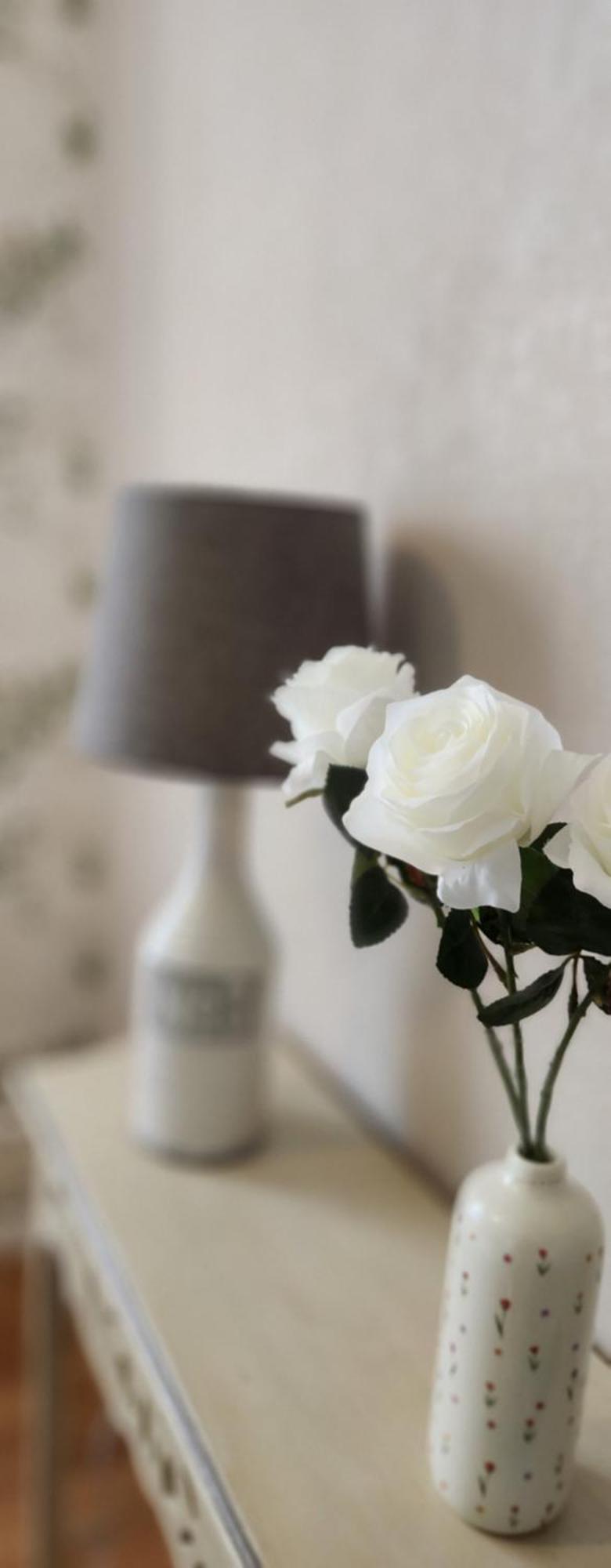 Les Hortensias Blancs Studio อาเมียงส์ ภายนอก รูปภาพ